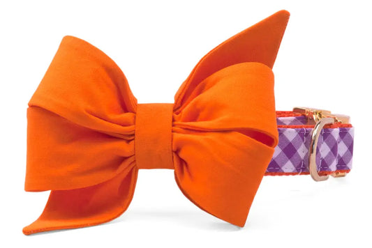 Crew LaLa - Clemson Gameday Belle Bow Dog Collar