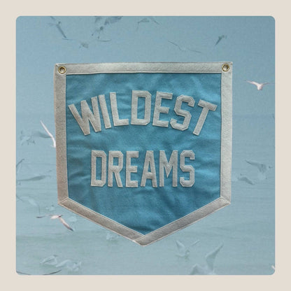 Taylor Swift Wildest Dreams Wall Banner