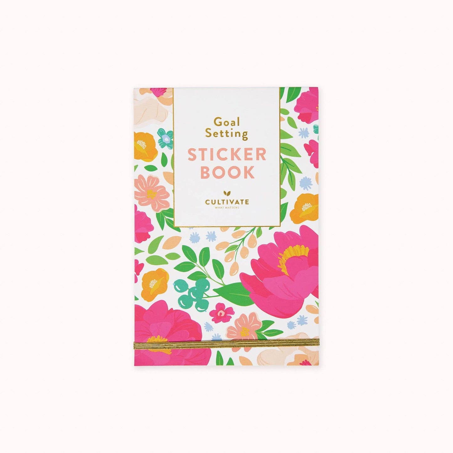 Goal Setting Sticker Book