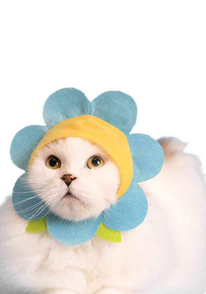 Cat Cap Blind Box - Flower