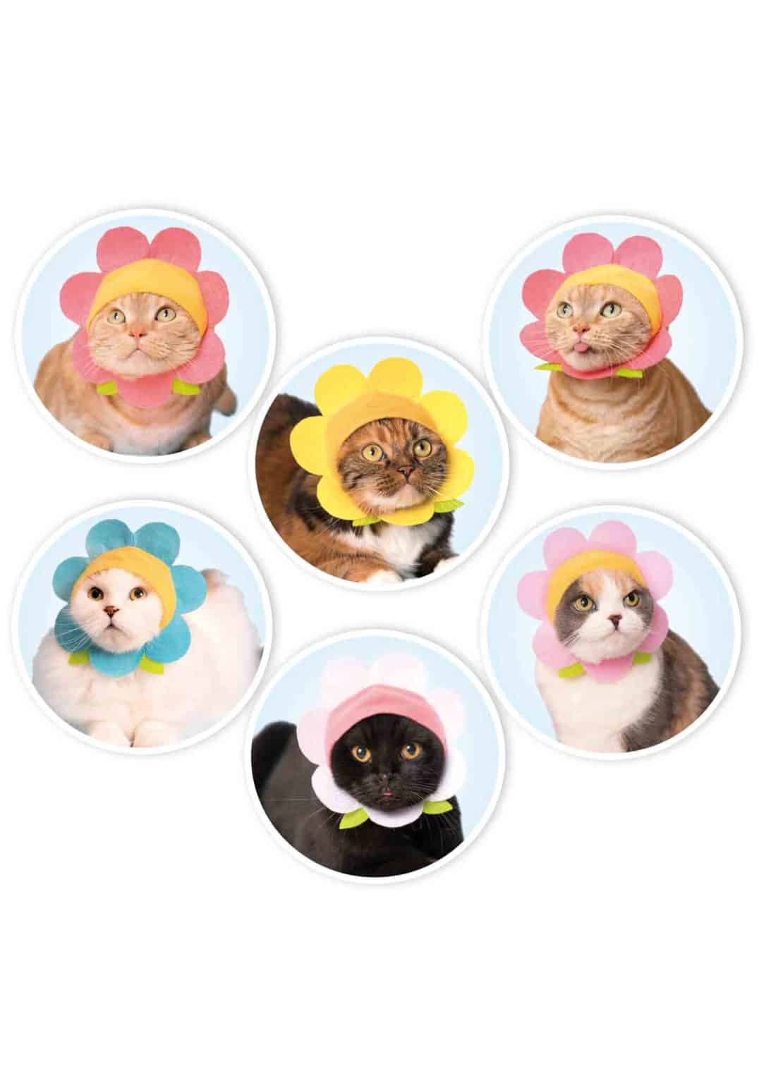 Cat Cap Blind Box - Flower