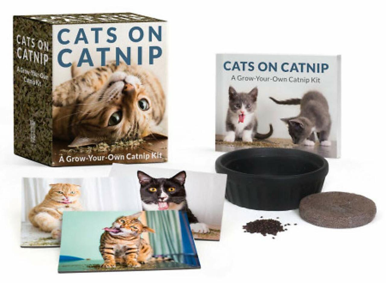 RP Minis - Cats on Catnip: Grow your own